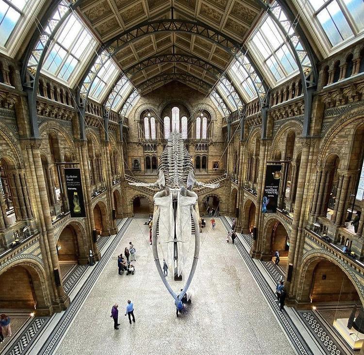 Natural History Museum - Image 1