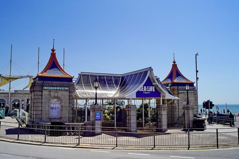 SEA LIFE Brighton thumbnail 3
