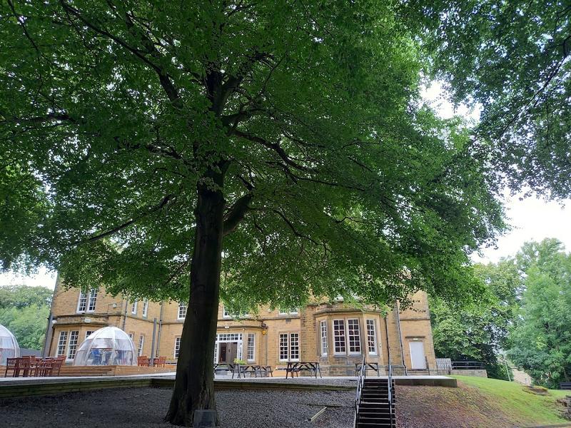 Storthes Hall Park - Image 1
