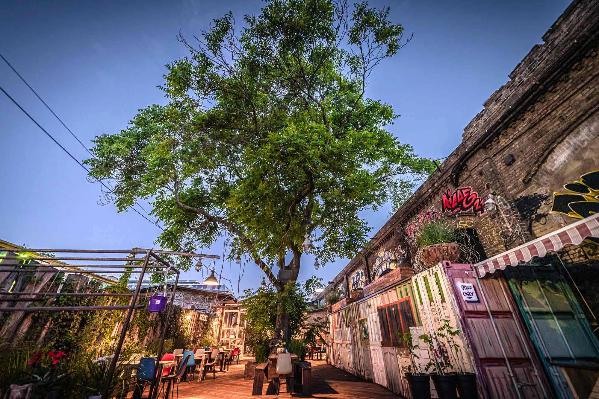 TREEHOUSE Berlin Eventlocation, Studio & Agentur - Image 1
